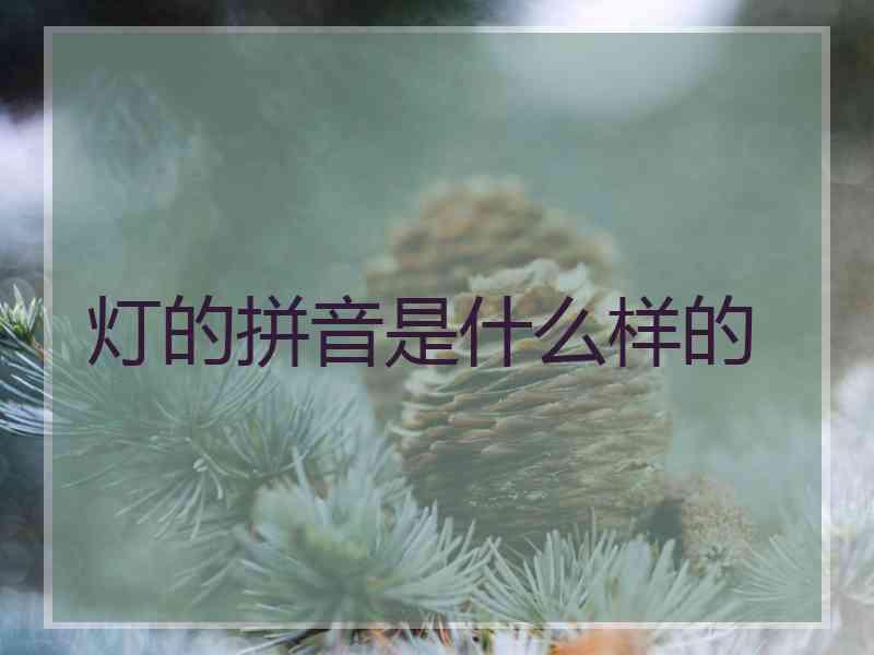 灯的拼音是什么样的