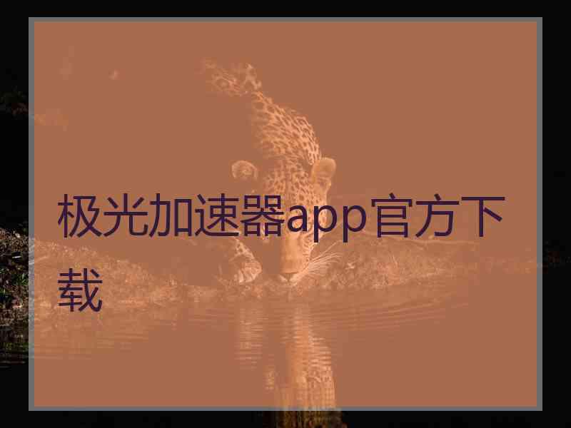 极光加速器app官方下载