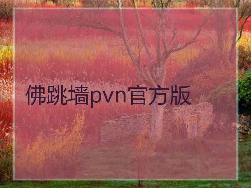 佛跳墙pvn官方版