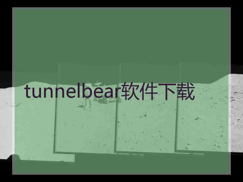 tunnelbear软件下载