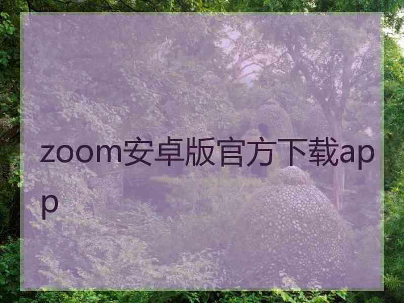 zoom安卓版官方下载app