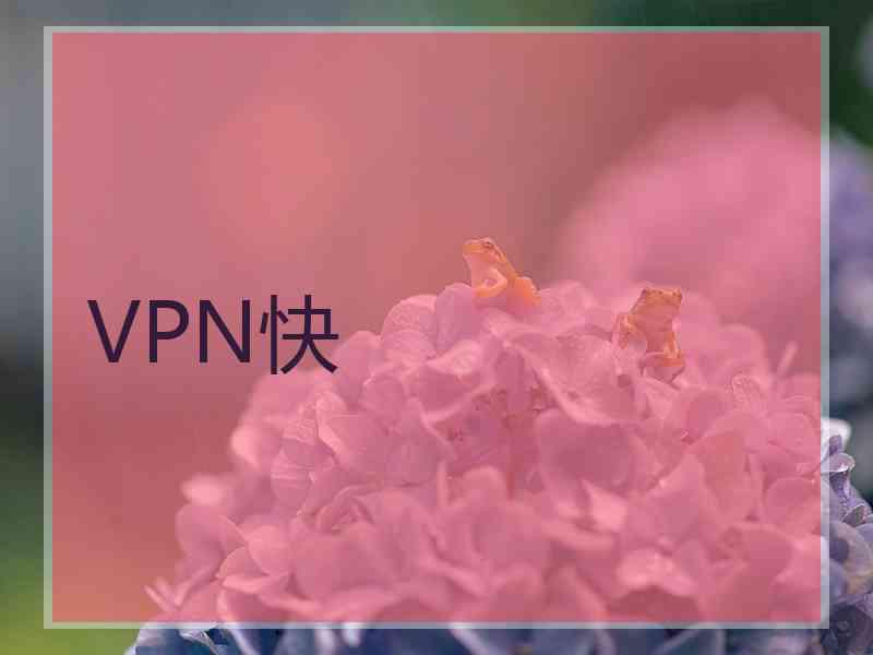 VPN快