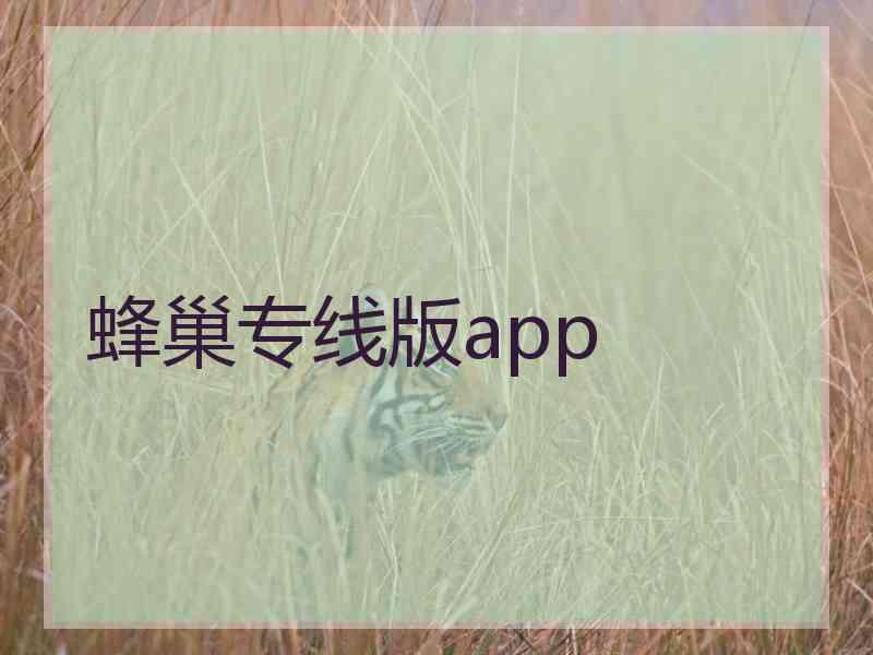 蜂巢专线版app