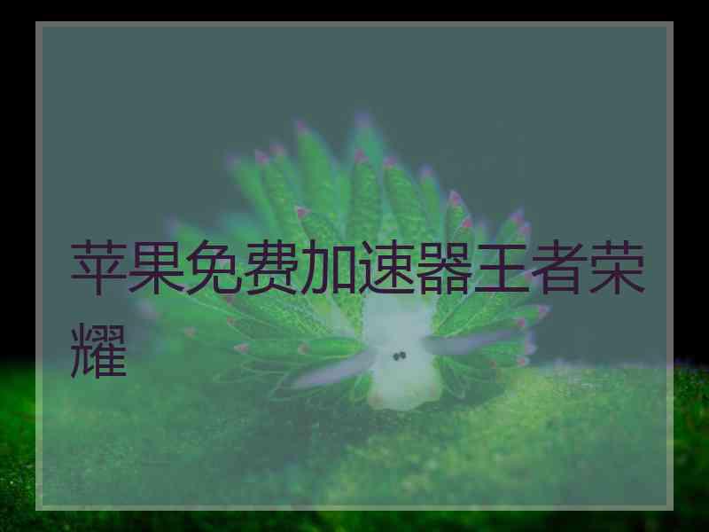 苹果免费加速器王者荣耀