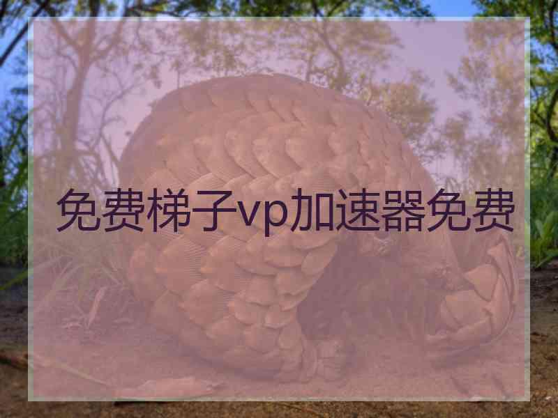 免费梯子vp加速器免费