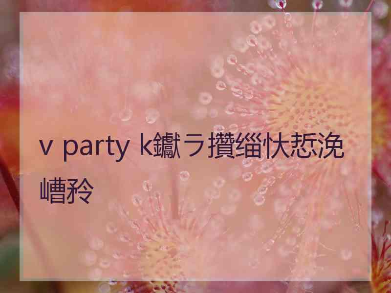 v party k钀ラ攢缁忕悊浼嶆矝