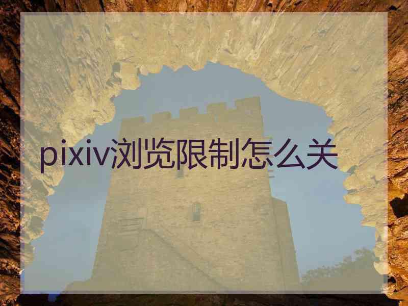 pixiv浏览限制怎么关