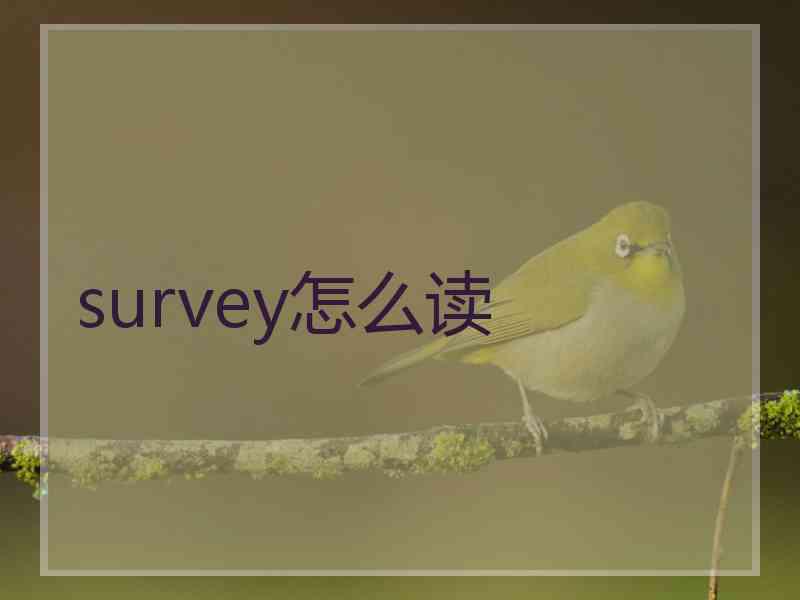 survey怎么读