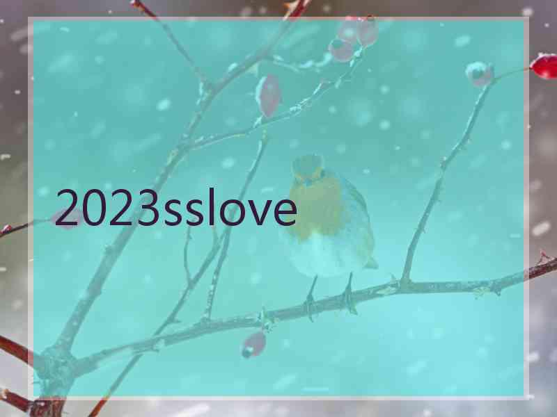 2023sslove