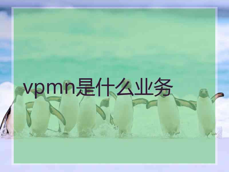 vpmn是什么业务