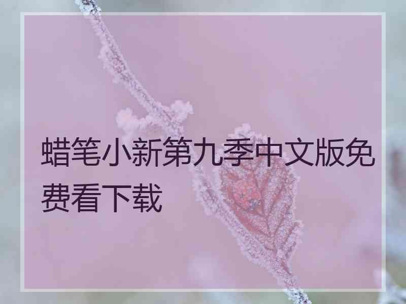 蜡笔小新第九季中文版免费看下载