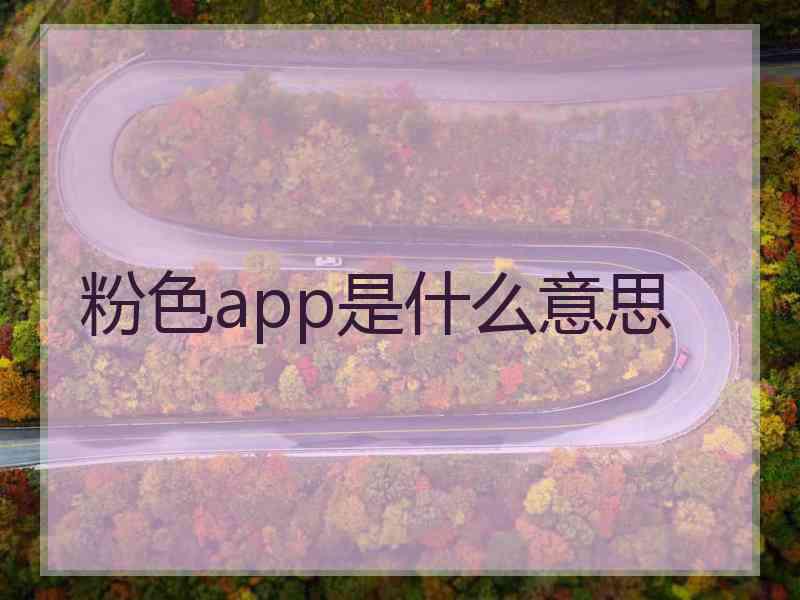 粉色app是什么意思