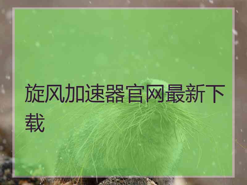 旋风加速器官网最新下载