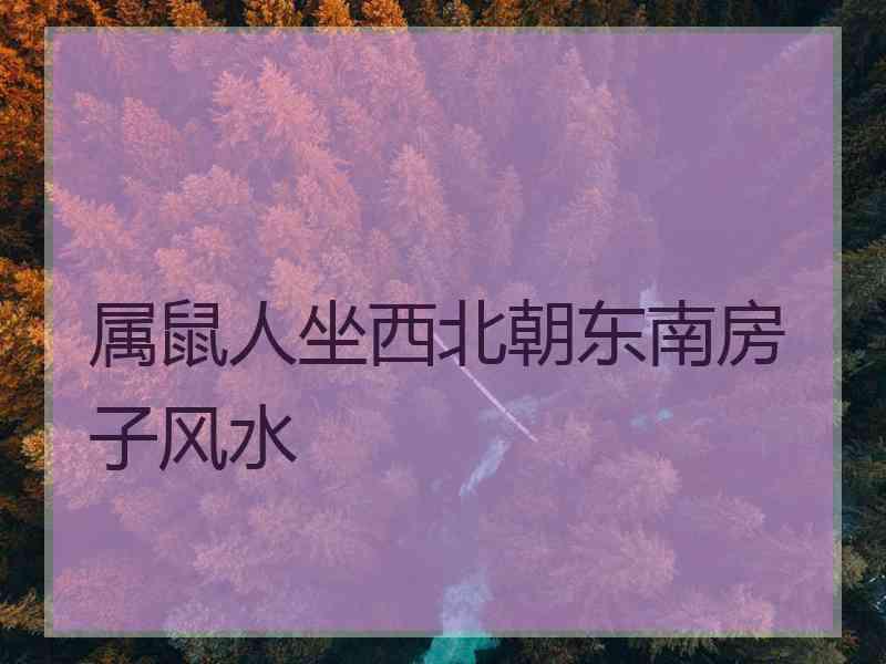 属鼠人坐西北朝东南房子风水