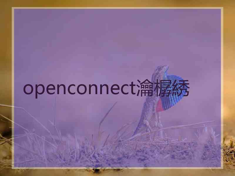 openconnect瀹樼綉