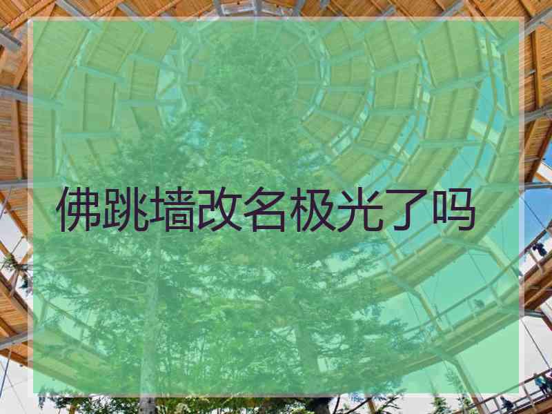 佛跳墙改名极光了吗