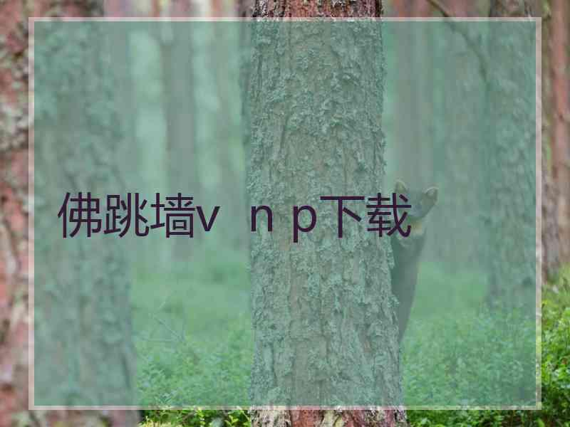 佛跳墙v  n p下载