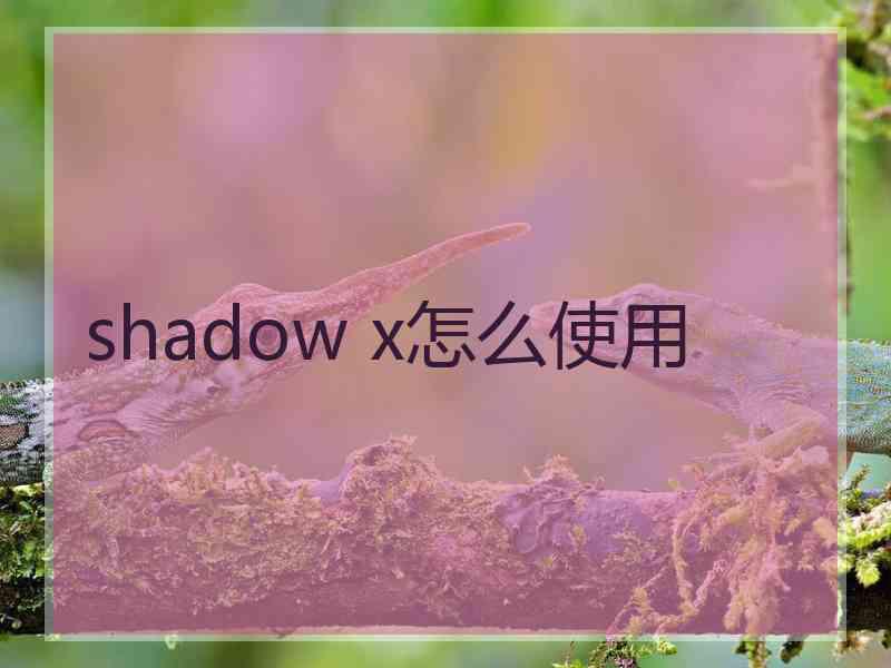 shadow x怎么使用