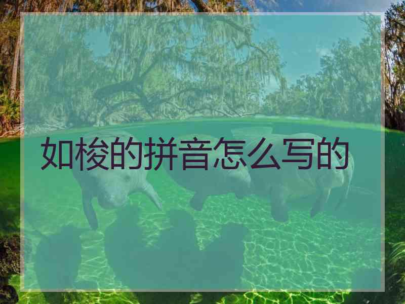 如梭的拼音怎么写的