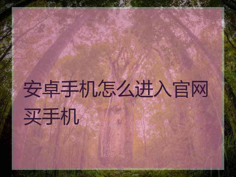 安卓手机怎么进入官网买手机