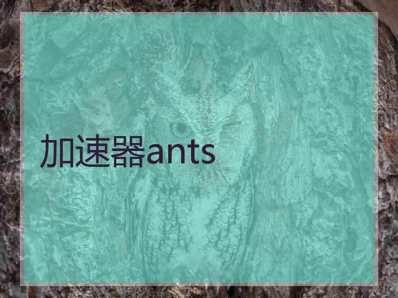 加速器ants