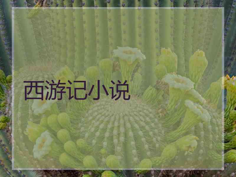 西游记小说