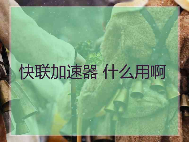 快联加速器 什么用啊