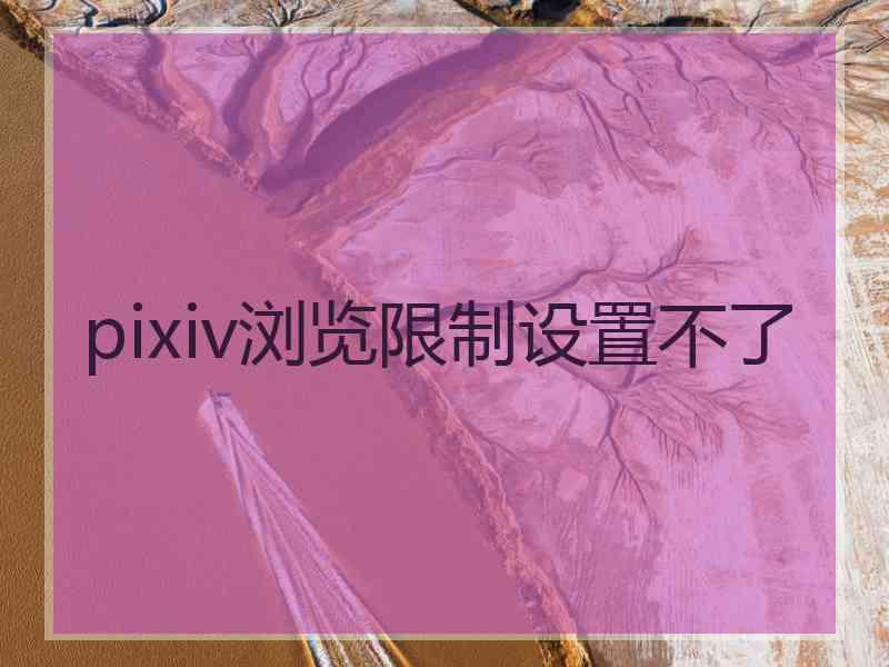 pixiv浏览限制设置不了