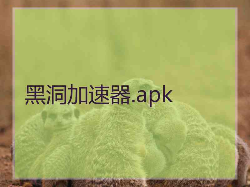 黑洞加速器.apk