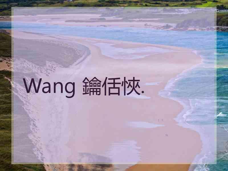 Wang 鑰佸悏.