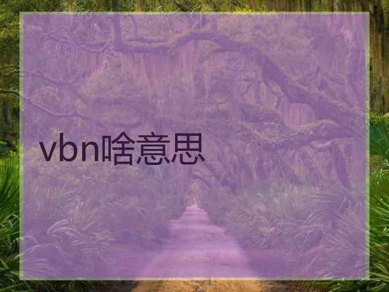 vbn啥意思