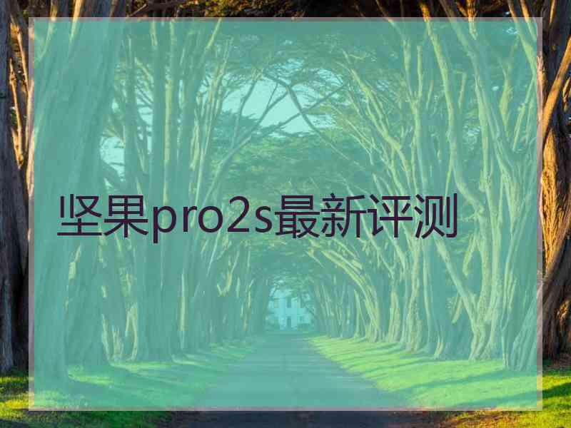 坚果pro2s最新评测