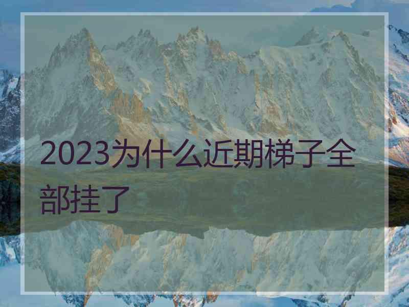 2023为什么近期梯子全部挂了