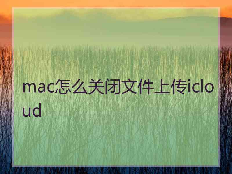 mac怎么关闭文件上传icloud