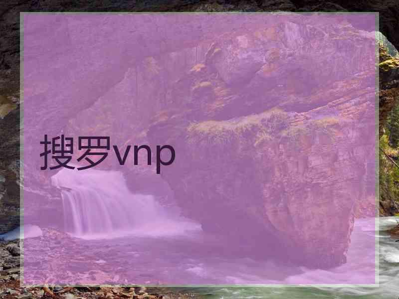 搜罗vnp