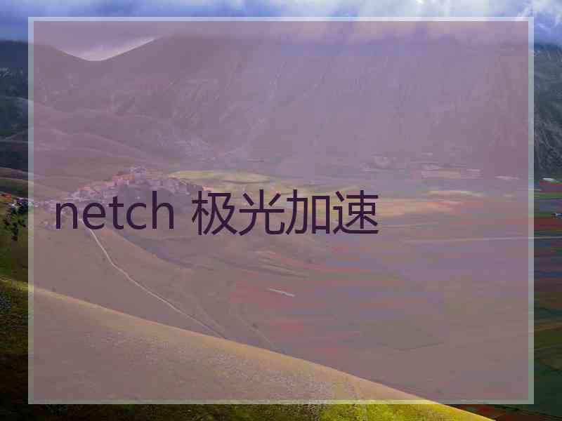 netch 极光加速