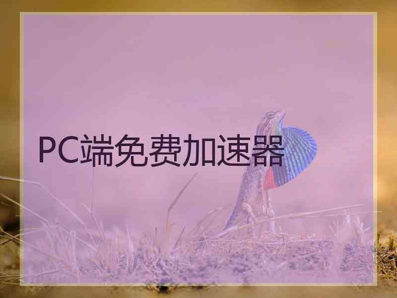 PC端免费加速器