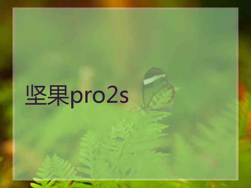 坚果pro2s