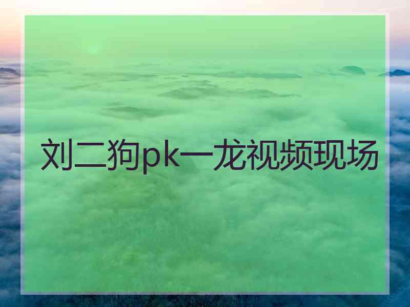 刘二狗pk一龙视频现场