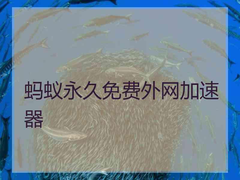 蚂蚁永久免费外网加速器