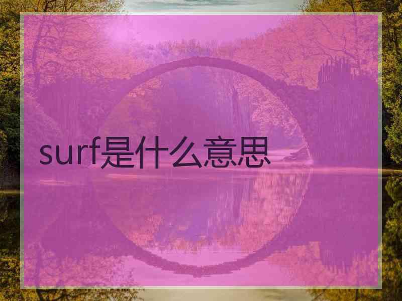 surf是什么意思