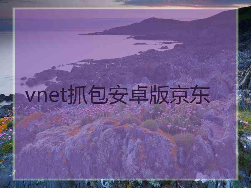 vnet抓包安卓版京东