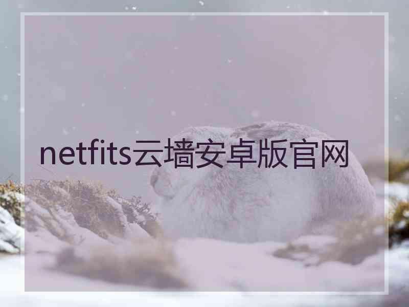 netfits云墙安卓版官网