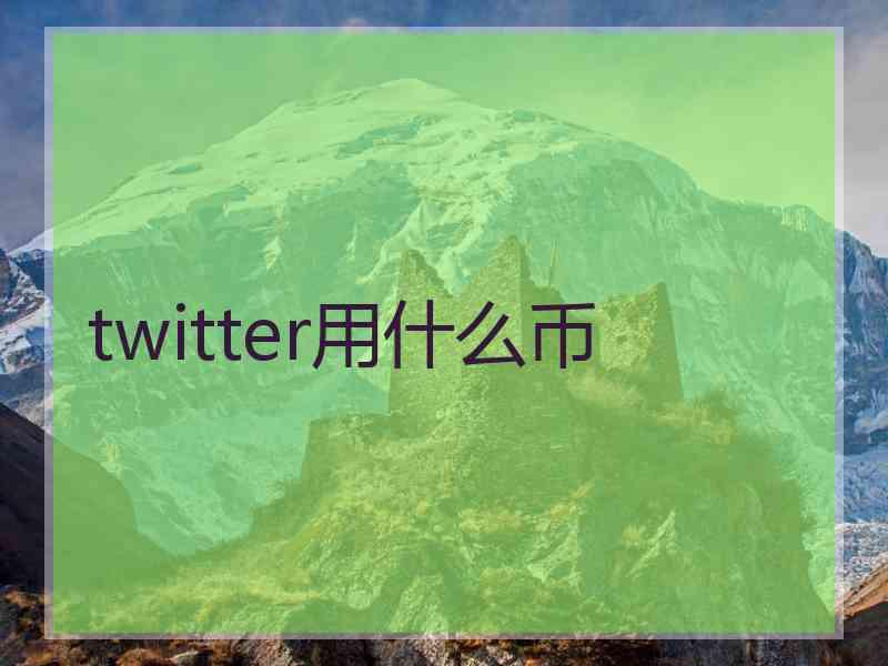 twitter用什么币