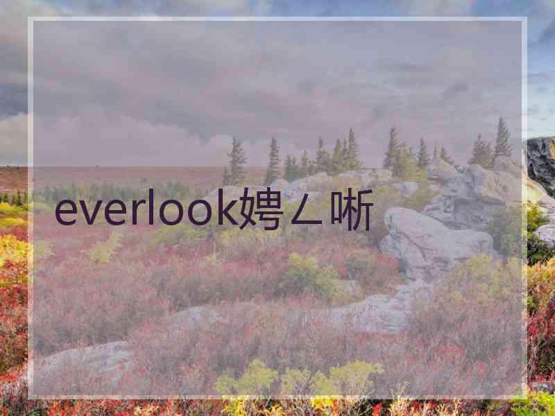 everlook娉ㄥ唽