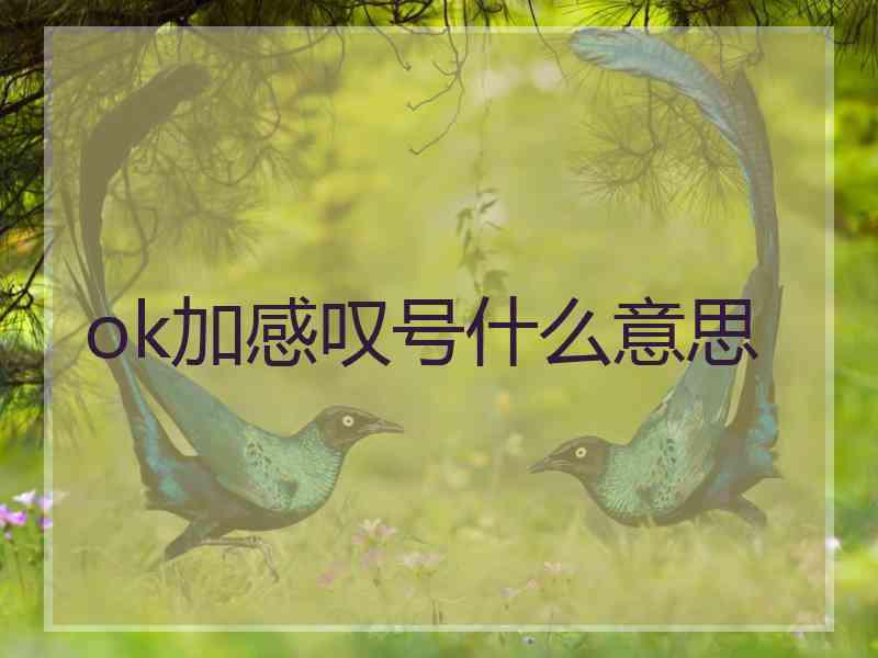 ok加感叹号什么意思