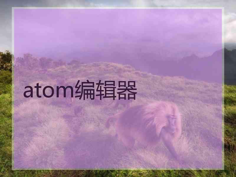 atom编辑器