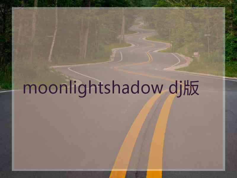 moonlightshadow dj版