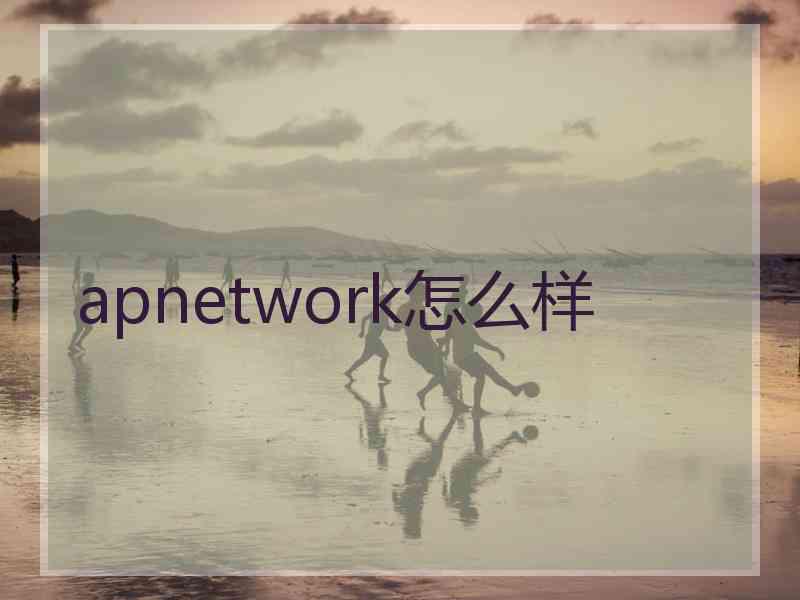 apnetwork怎么样