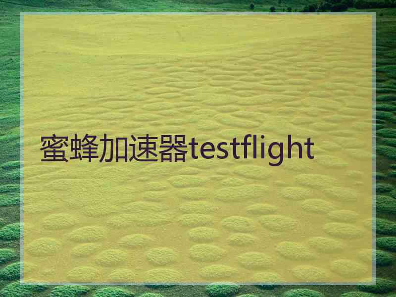 蜜蜂加速器testflight